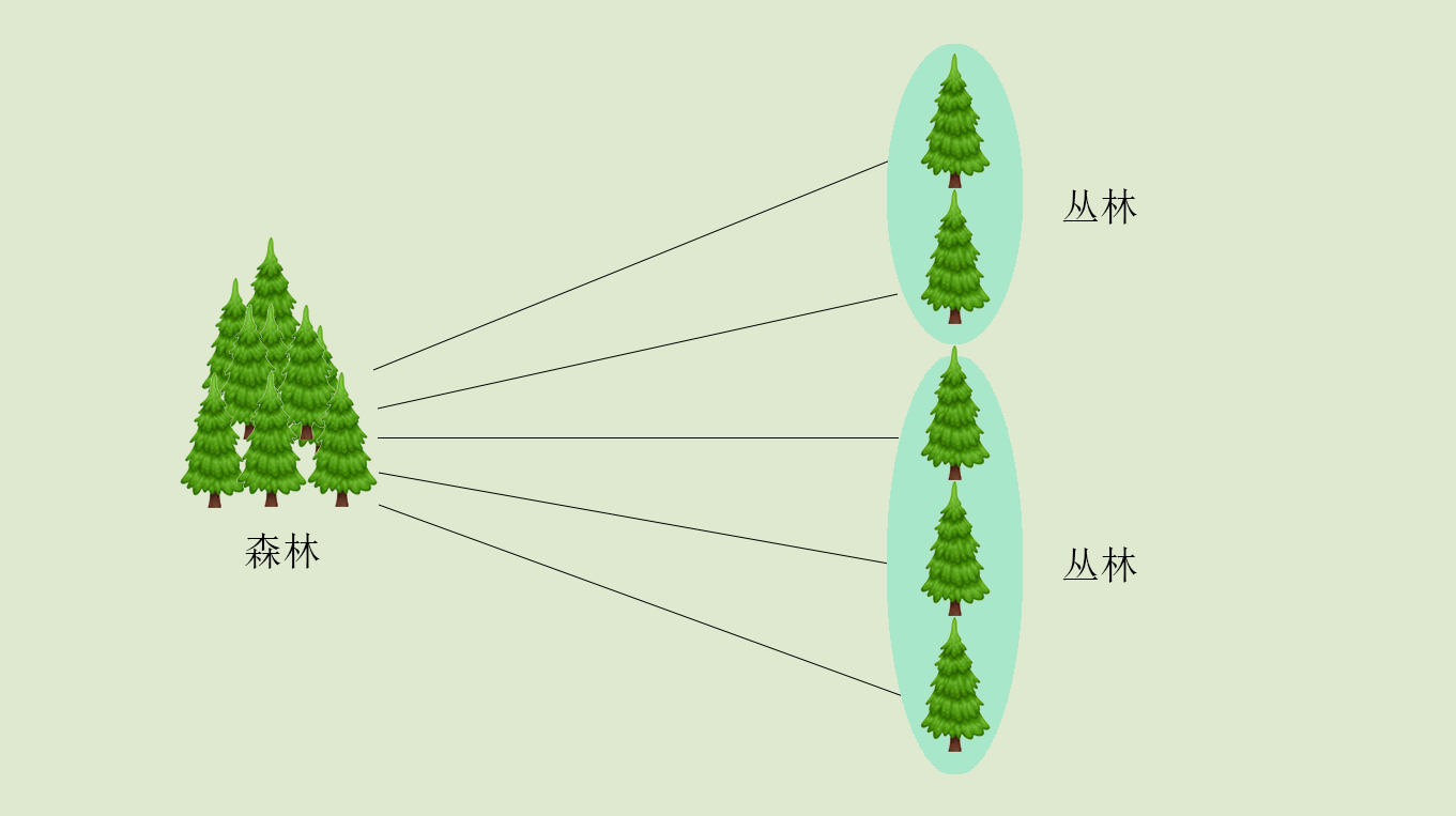 植物之间的相互联系构成丛林