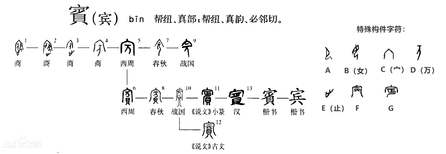 宾字的汉字演化