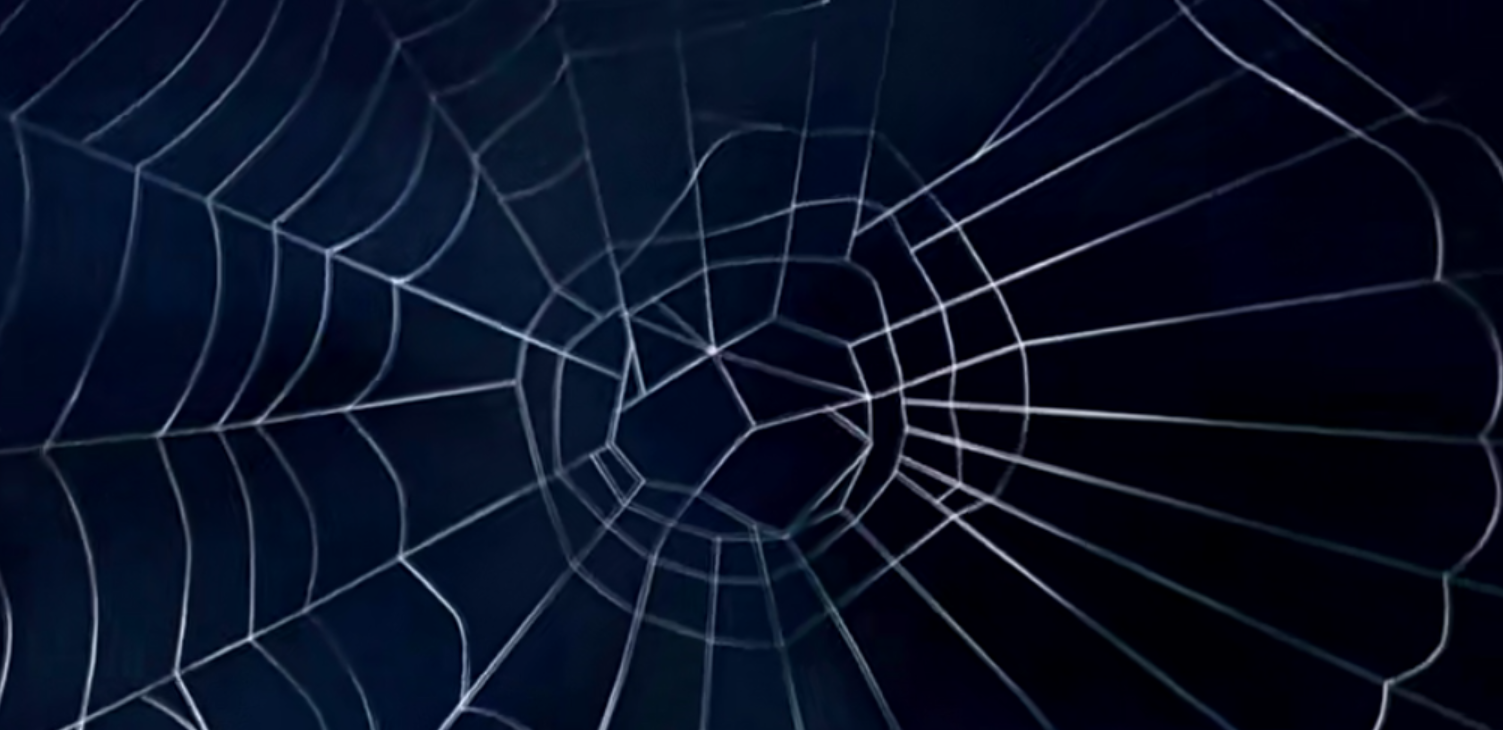 蜘蛛网（Spider web）